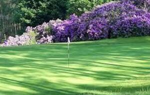 Sortie Loisirs - Golf du Champ de Bataille