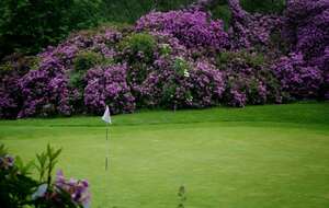 Sortie au golf de Champ de Bataille